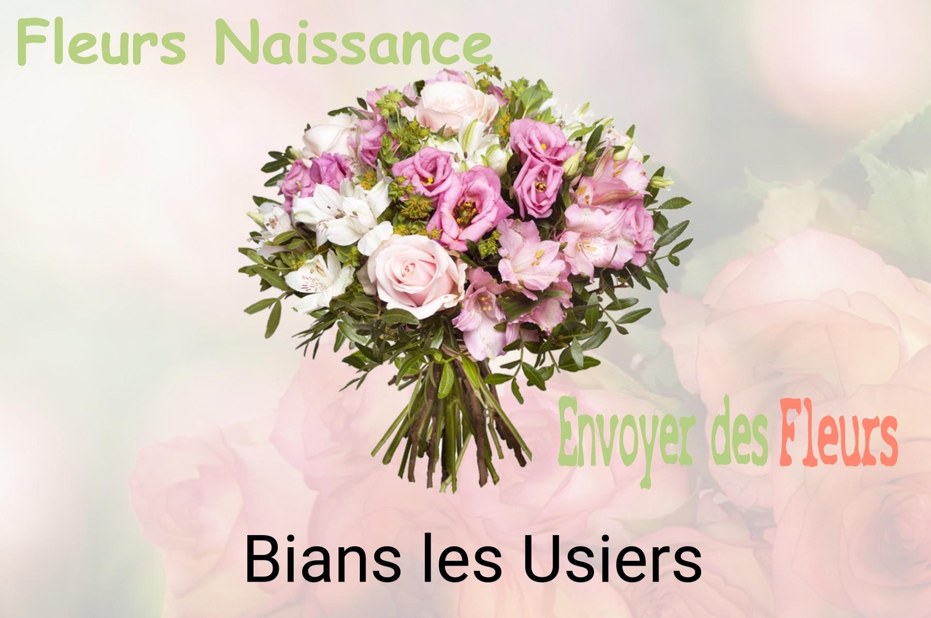 Bouquet de fleurs de naissance livré à Bians-les-Usiers